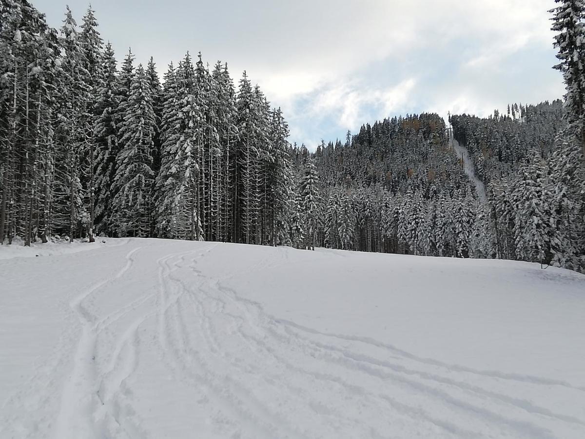 Ferienwohnung Mit Blick Auf Die Buchensteinwand Hochfilzen Luaran gambar